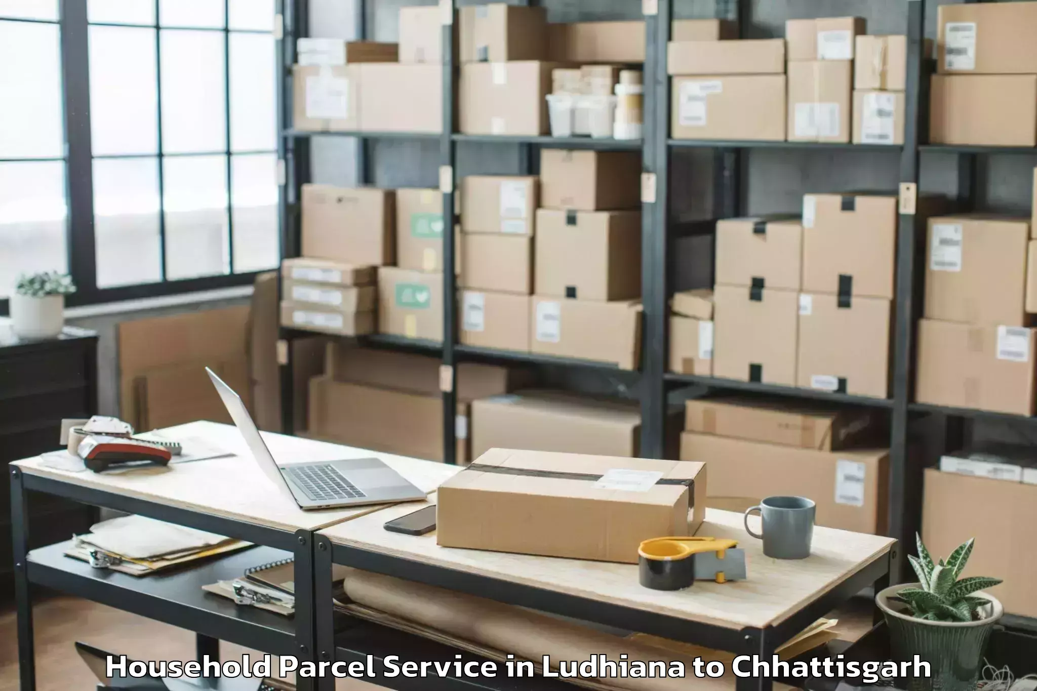 Expert Ludhiana to Udaipur Dharamjaigarh Household Parcel